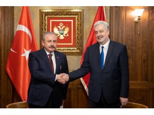 TBMM Başkanı Şentop, Karadağ Başbakanı Krivokapic ile görüştü