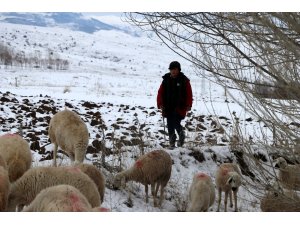 11 yaşındaki çoban dondurucu soğukta sürü güdüyor