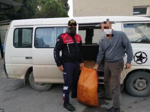 Hırsızlıktan aranan şahıslar zeytin çalarken yakalandı