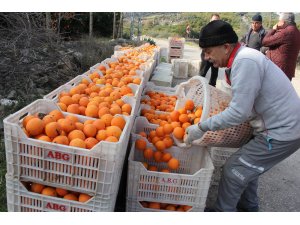 Dalında 1,5 liraya sattı; zincir markette fiyatı 5,90 liraya fırladı