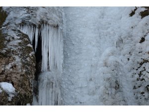 Şırnak’ta 50 metrelik şelale dondu