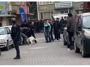 Malatya’daki pitbullu saldırı anı kamerada