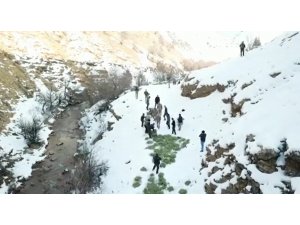 Tunceli’de doğaya yem bırakıldı, dağ keçileri akın etti