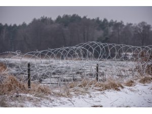 Polonya’nın Belarus sınırında 240’tan fazla göçmenin öldürüldüğü iddiası