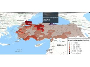 Samsun’da yabancılara konut satışı arttı: Türkiye’de 9. sırada yer aldı