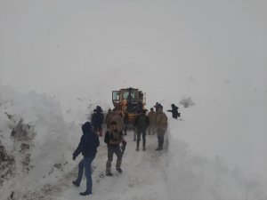 Şemdinli sınırında kaybolan 3 İranlı’dan haber alınamıyor