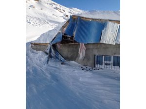 Bahçesaray’da bir evin üzerine çığ düştü, 5’i çocuk 7 kişi yara almadan kurtuldu