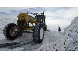 Muş’ta kar nedeniyle 266 köy yolu ulaşıma kapandı