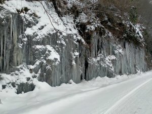 Ordu’da donduran görüntü