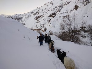 Asker ve köy koruyucuları 3 gündür seferber olduğu keçileri bulup sahibine teslim etti