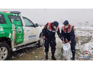 İçişleri Bakanı Soylu o videoyu sosyal medya hesabından paylaştı