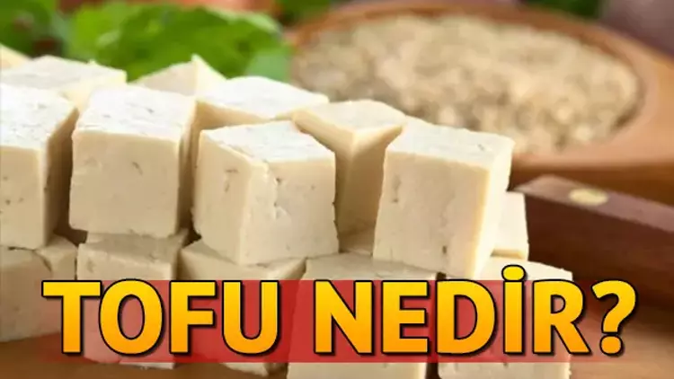 Tofu Nedir?