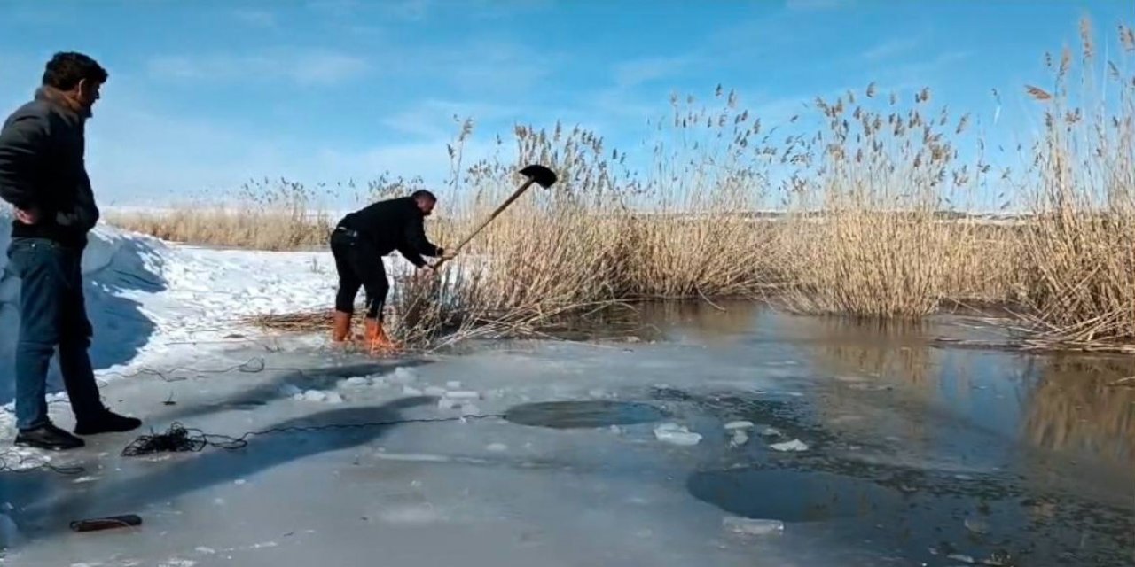Ağrı’da buzlu suda balık avı