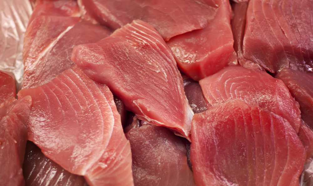 Ton balığı tüketenler dikkat! Cıva tehlikesi sağlığı olumsuz etkiliyor