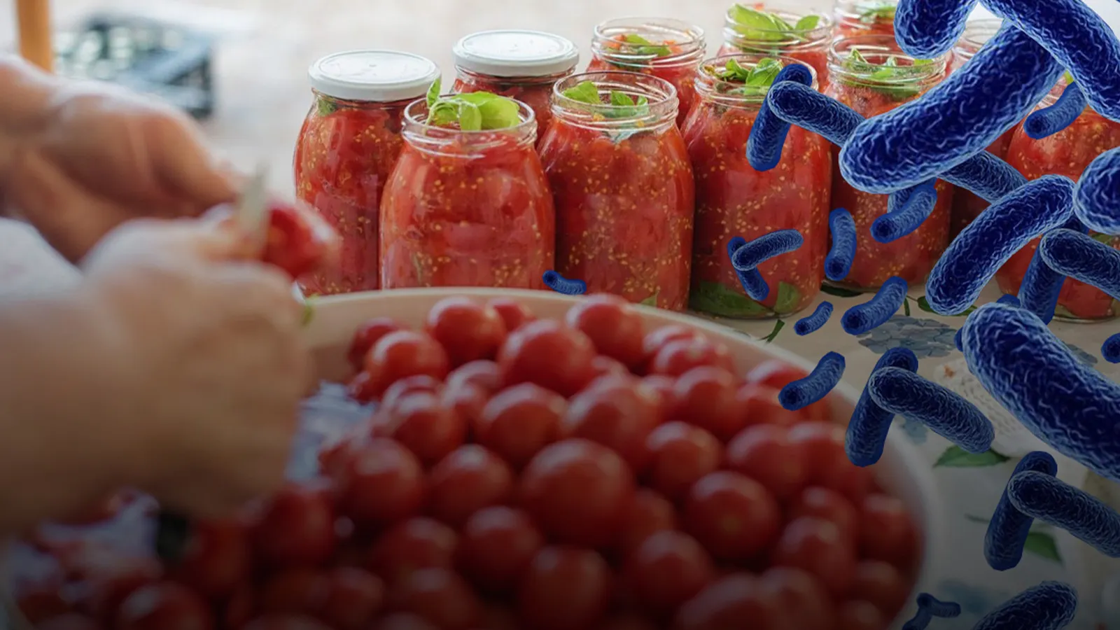 Botulismus zehirlenmesi hangi gıdaların tüketilmesi sonucu oluşur?