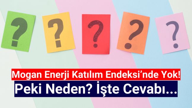 Mogan Enerji Neden Katılım Endeksine Uygun Değil? Sebebi Nedir?