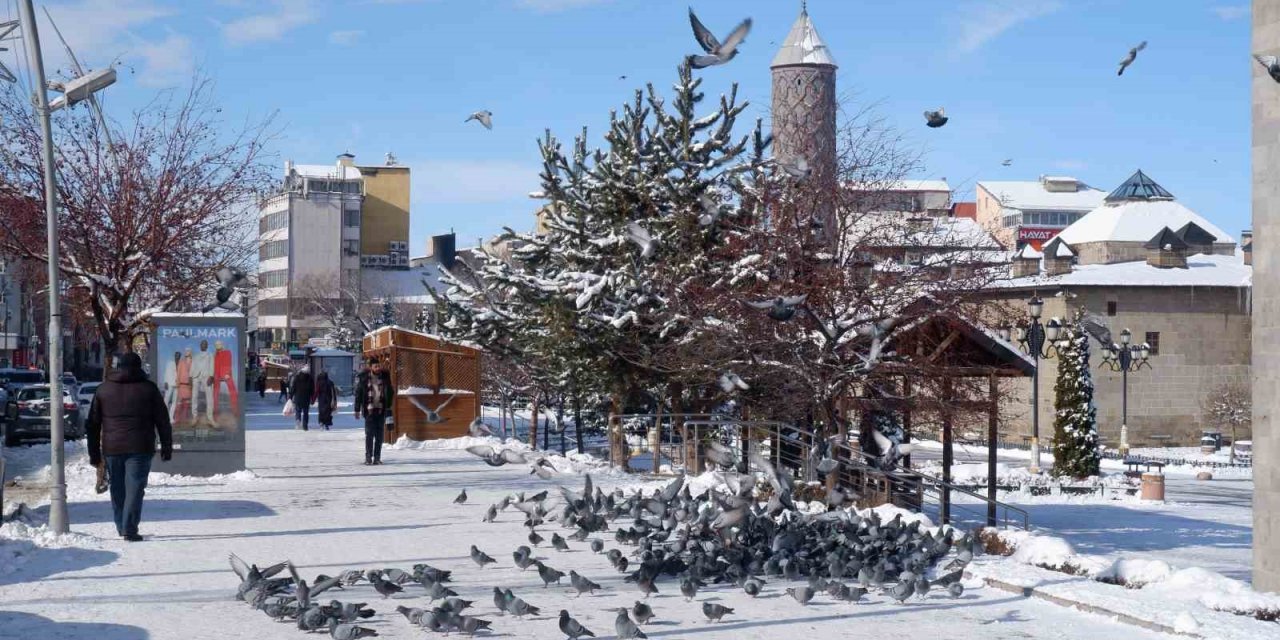 Karla kaplı caddelerde aç kalan güvercinlere esnaf sahip çıktı