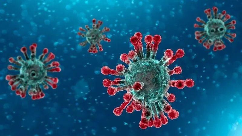 Yeni gizemli virüs! 45 kentte tespit edildi