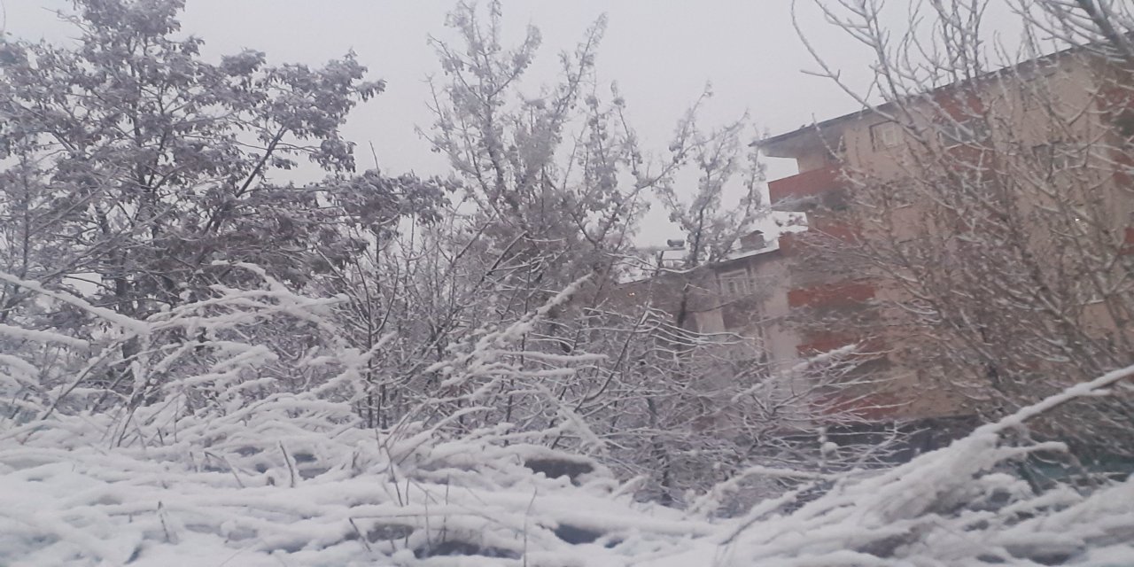 Ağrı'da Mart ayında kar yağışı sürprizi