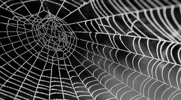 Rüyada örümcek ağı görmek ne demek?