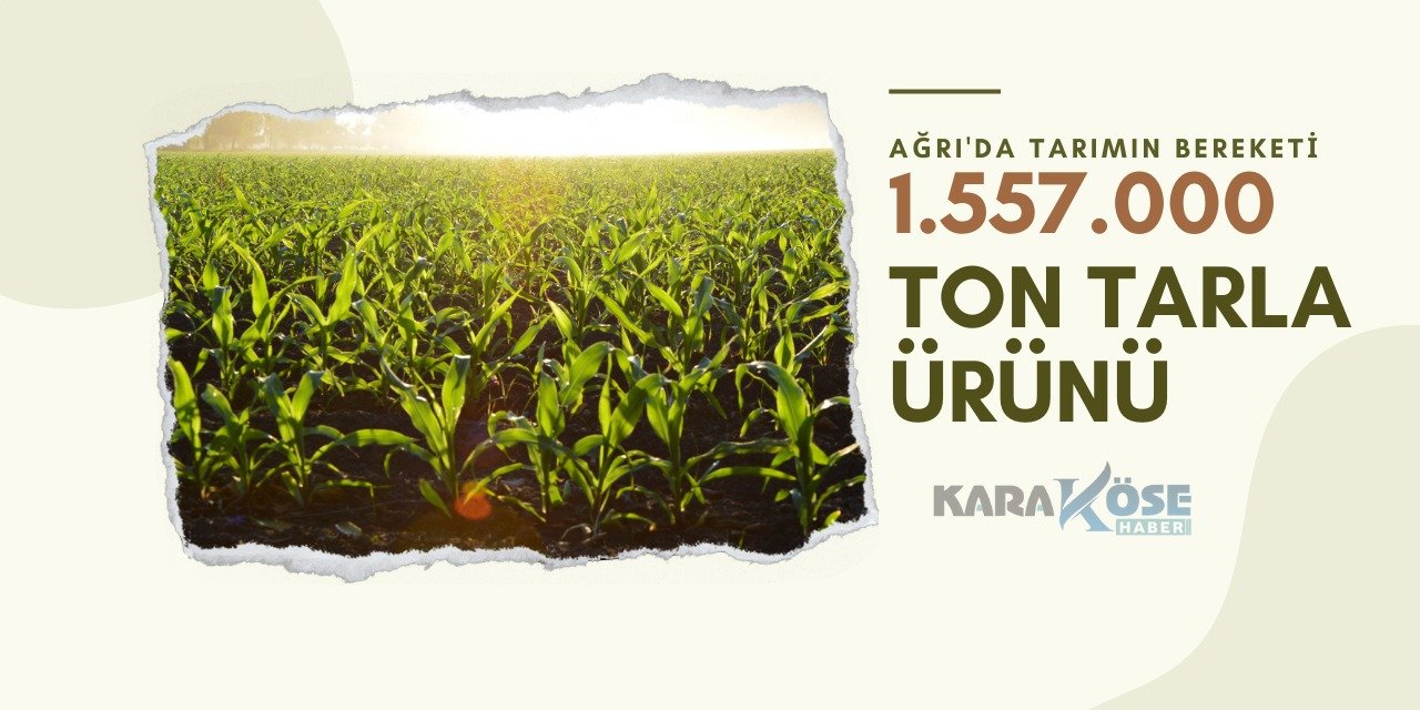 Ağrı'da Tarımın Bereketi: 1.557.000 Ton Tarla Ürünü