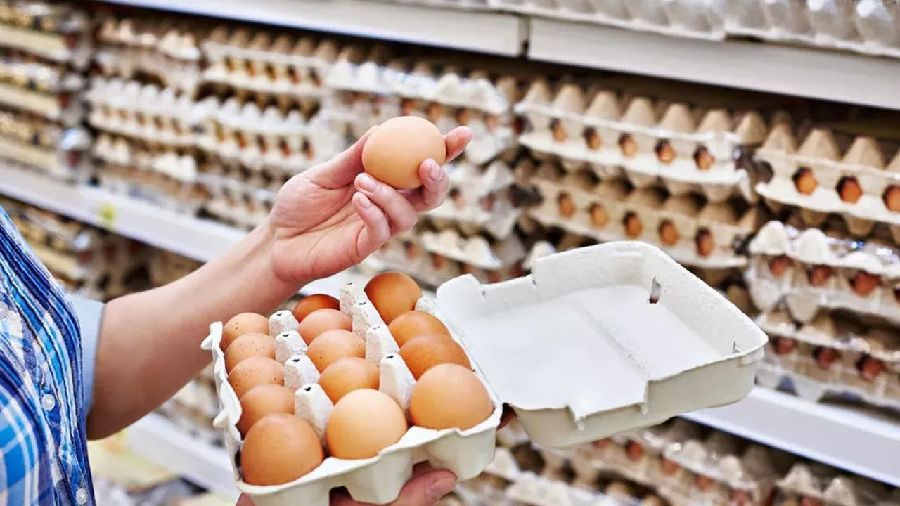 Yumurta Fiyatları Neden Düştü Son Dakika 2024?
