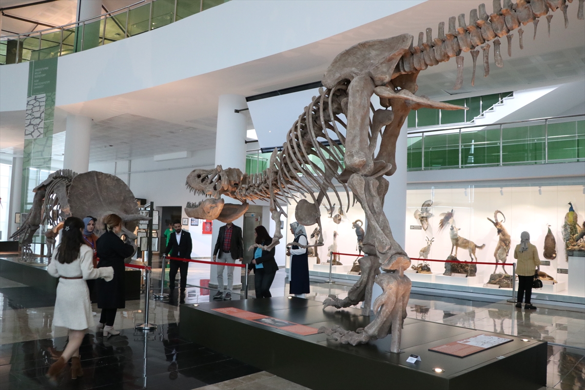 Milyonlarca yıllık fosiller Biyoçeşitlilik Bilim Müzesi'nde yaşayacak