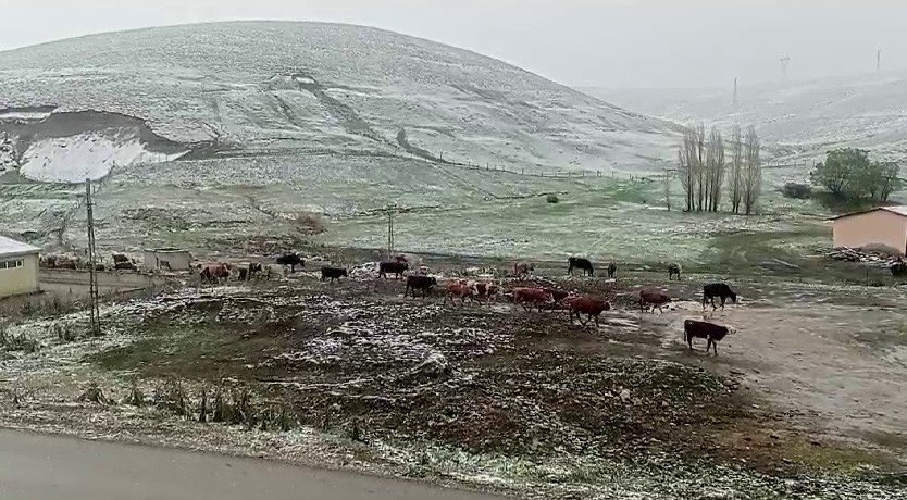 Erzurum'da yağan kar vatandaşları şaşkına uğrattı