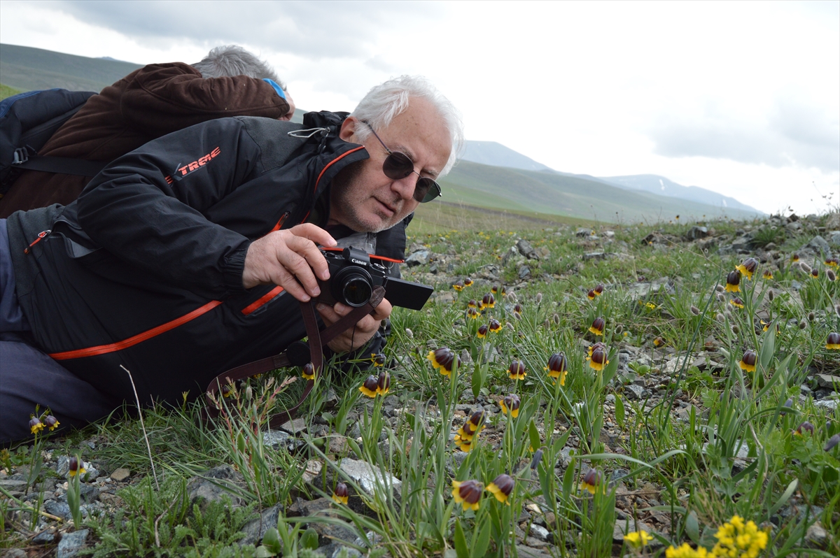 Karayazı'ya özgü ters laleyi 2 bin rakımda fotoğrafladılar