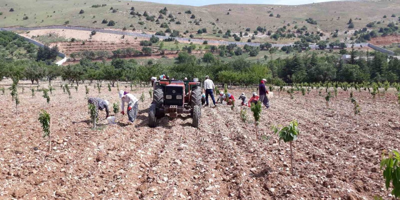 Günde bin 500 liraya çalışacak işçi bulunamıyor