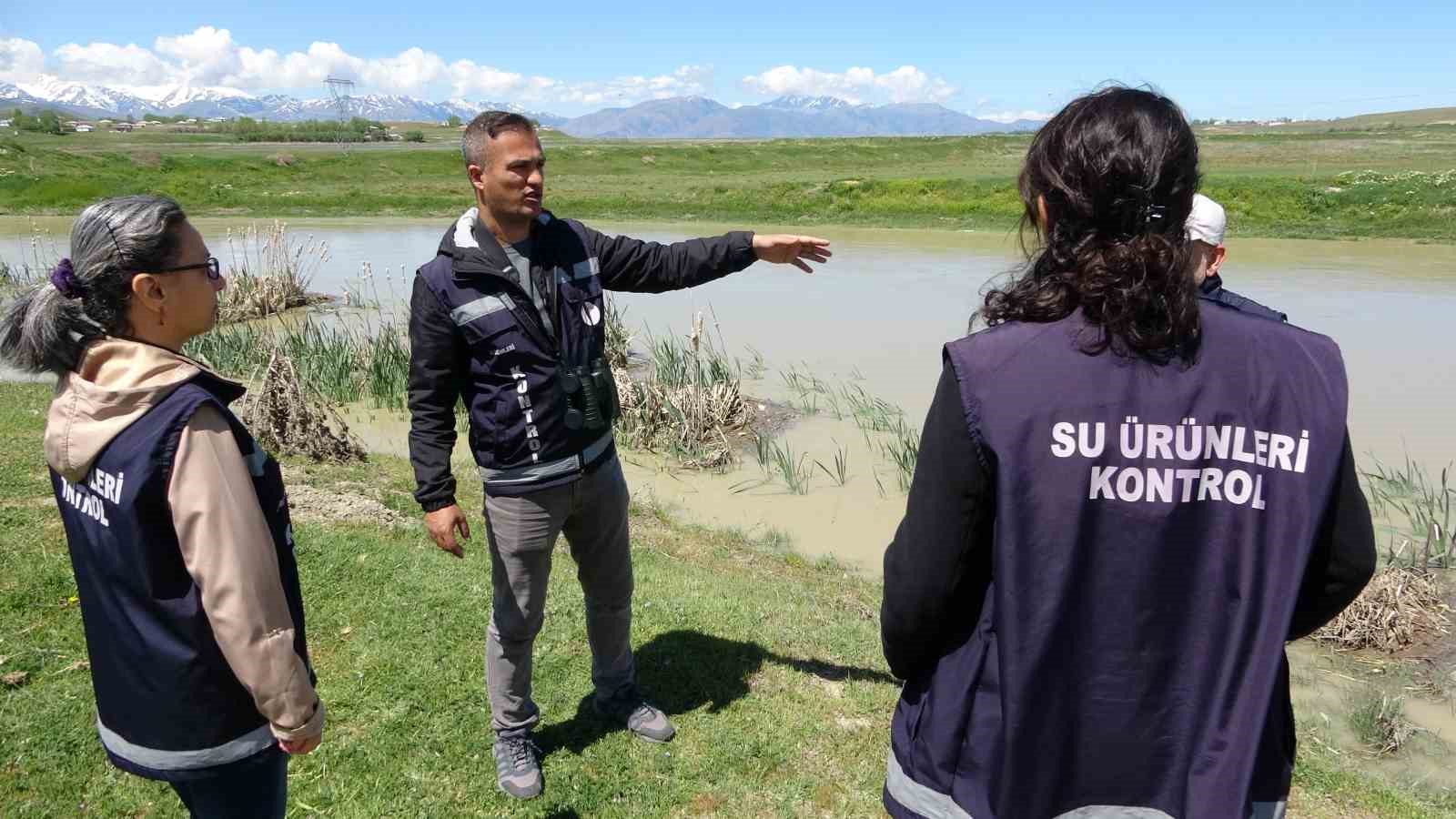 İnci kefaline olağanüstü koruma