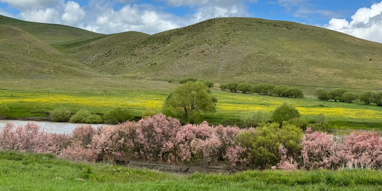 Rengarenk Çiçek Açan Murat Nehri Misafirlerini Bekliyor