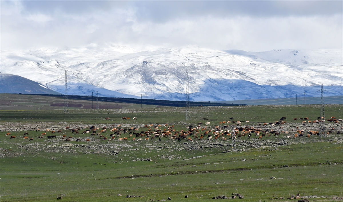 Kars'ta soğuk hava etkili oluyor