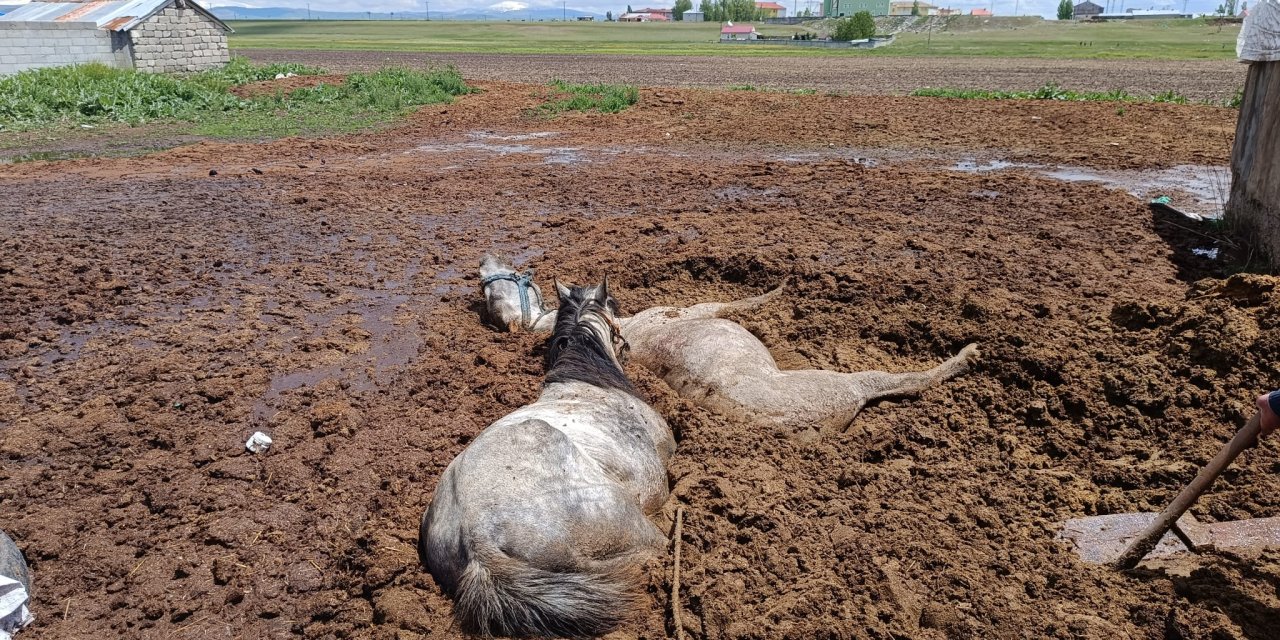 Ağrı’da Mayısa batan Atları itfaiye ekipleri kurtardı