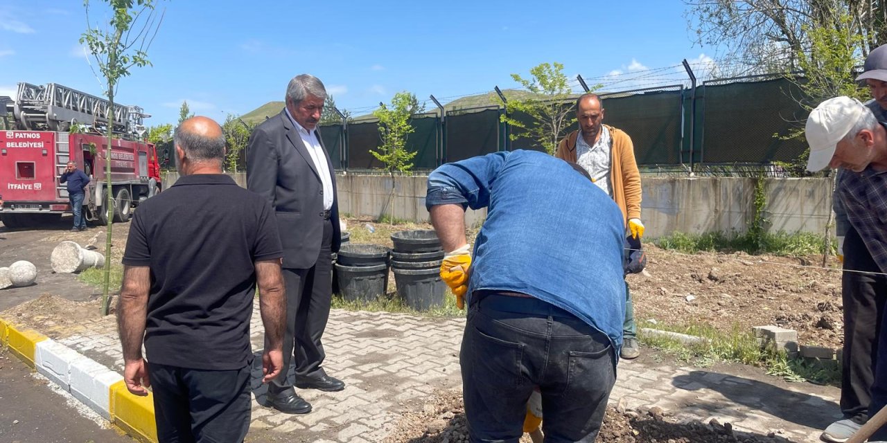 Patnos’a her köşe başına ağaç dikiliyor