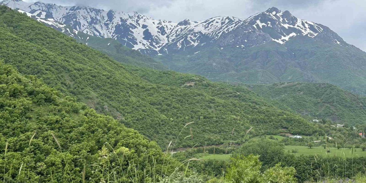 Şemdinli yeşil doğasıyla Karadeniz’i aratmıyor