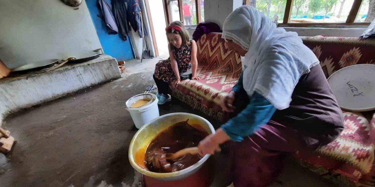 Coğrafi işaret başvuru şampiyonu