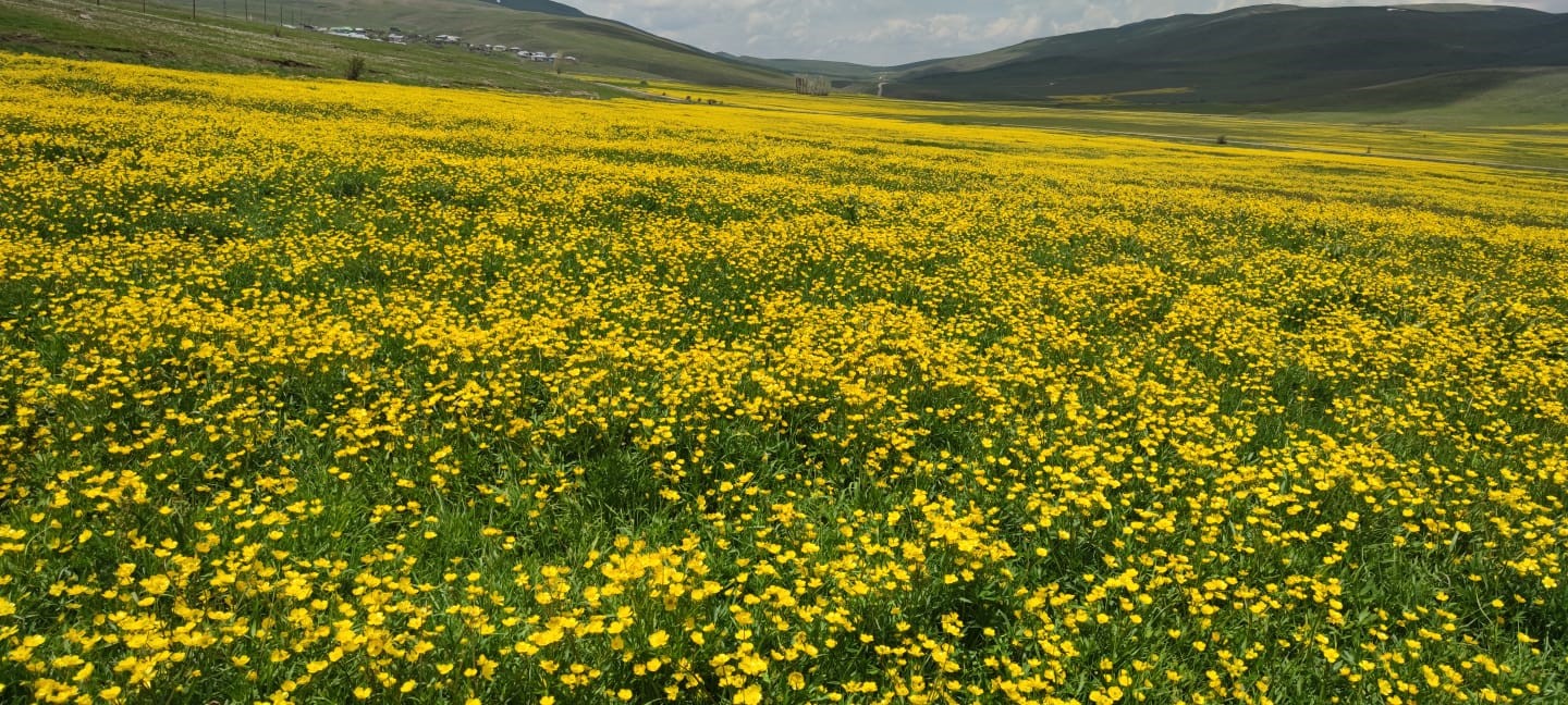 Erzurum'un zirvesinde görsel şölen