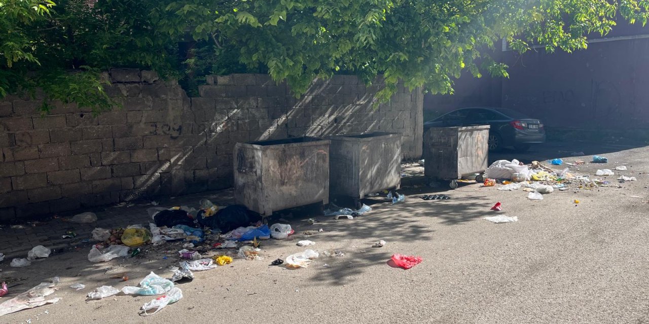 Ağrı'da konteynerler boş, yollar çöp içerisinde