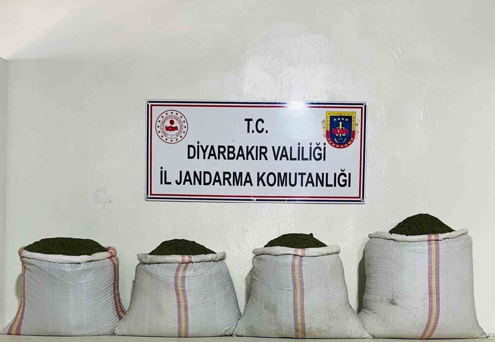 Diyarbakır’da binlerce kök kenevir ve kilolarca esrar ele geçirildi