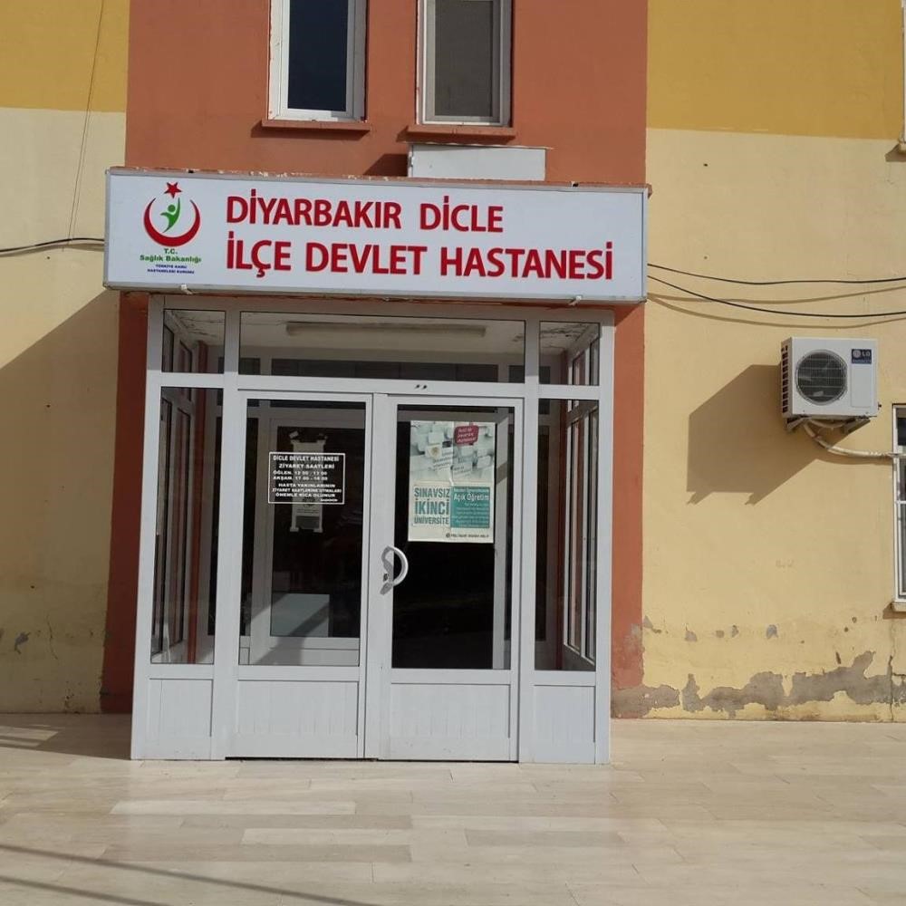 Diyarbakır’da sokak köpeği kadına saldırdı