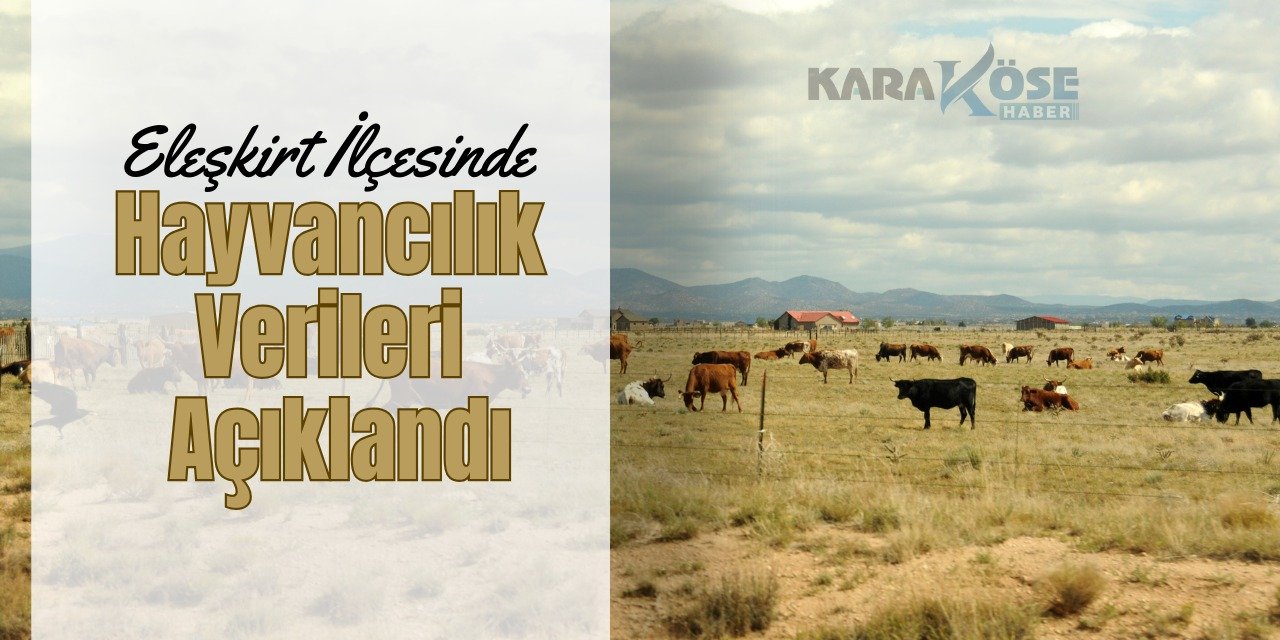 Eleşkirt İlçesinde Hayvancılık Verileri Açıklandı