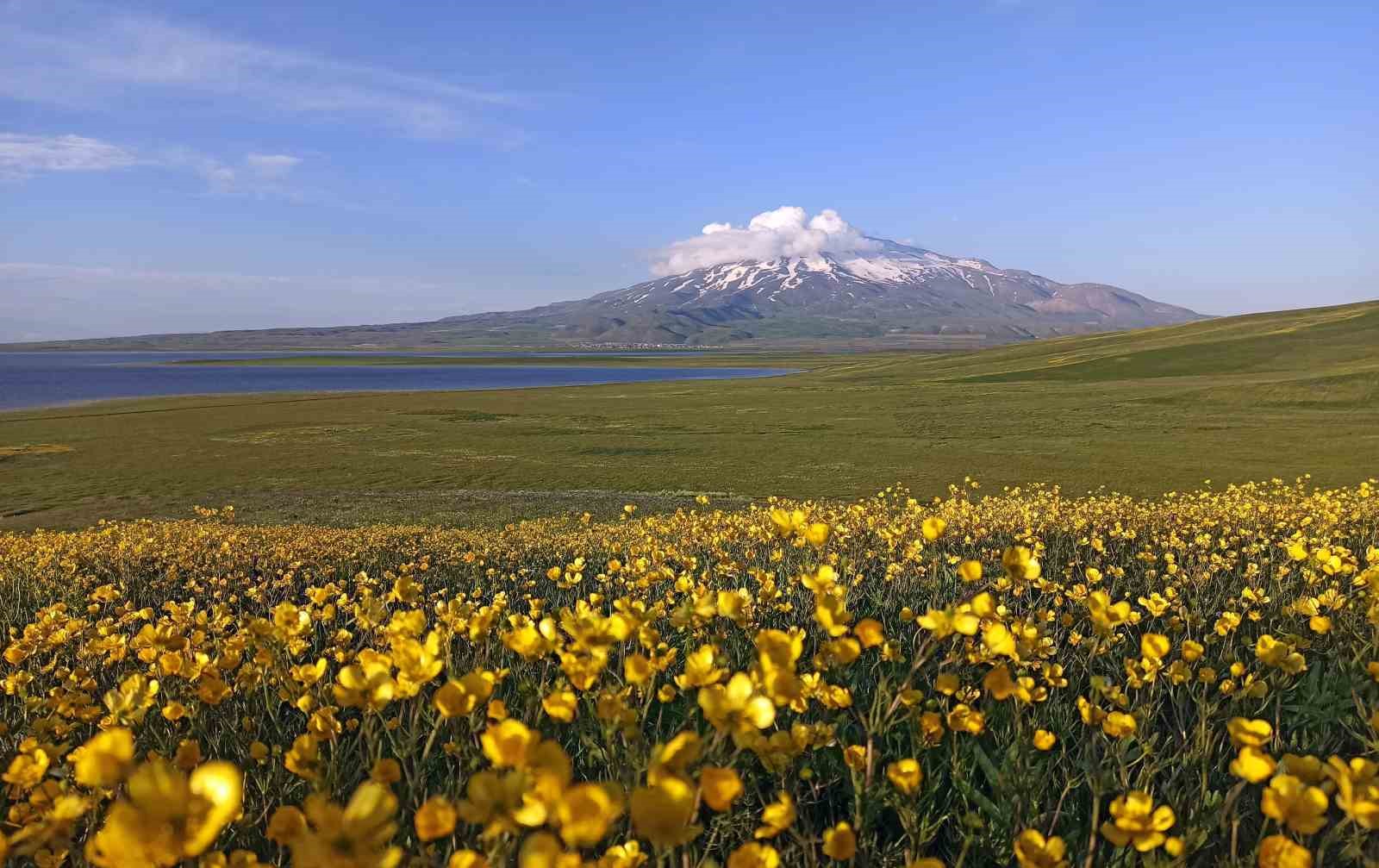 Sütey Yaylası ve Süphan Dağı’ndan kartpostallık kareler