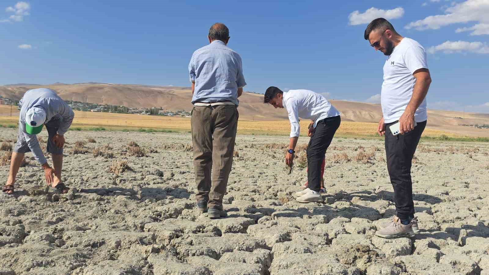 Bitlis'te kuruyan göl yeniden doldu