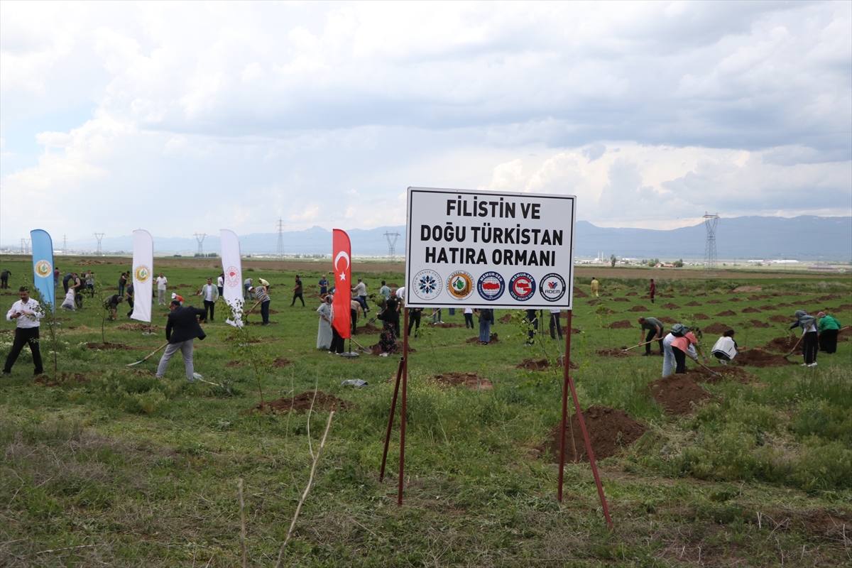 Erzurum'da Filistin ve Doğu Türkistan Hatıra Ormanı oluşturuldu