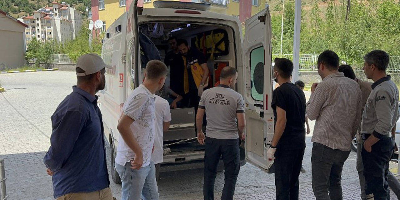 Bitlis'te tarım aracının devrilmesi sonucu 8 çocuk yaralandı