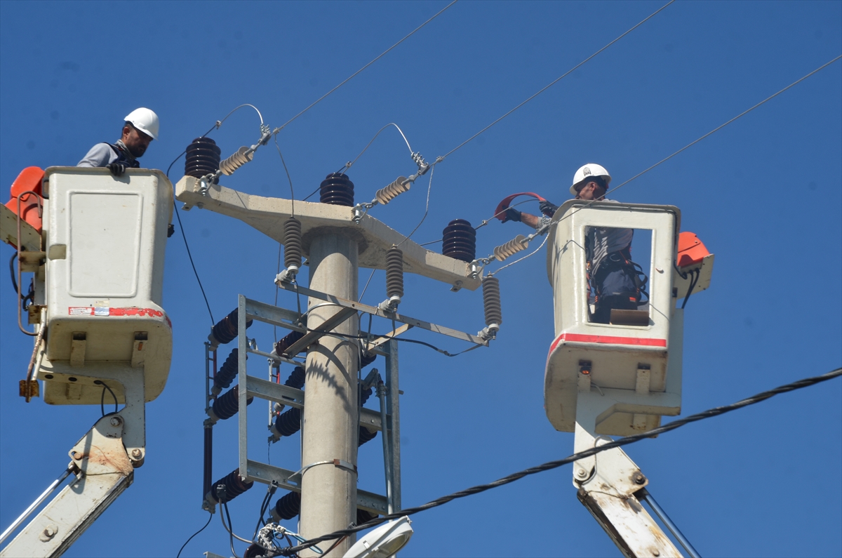 Muş'ta elektrik hatları daha güvenli hale getiriliyor