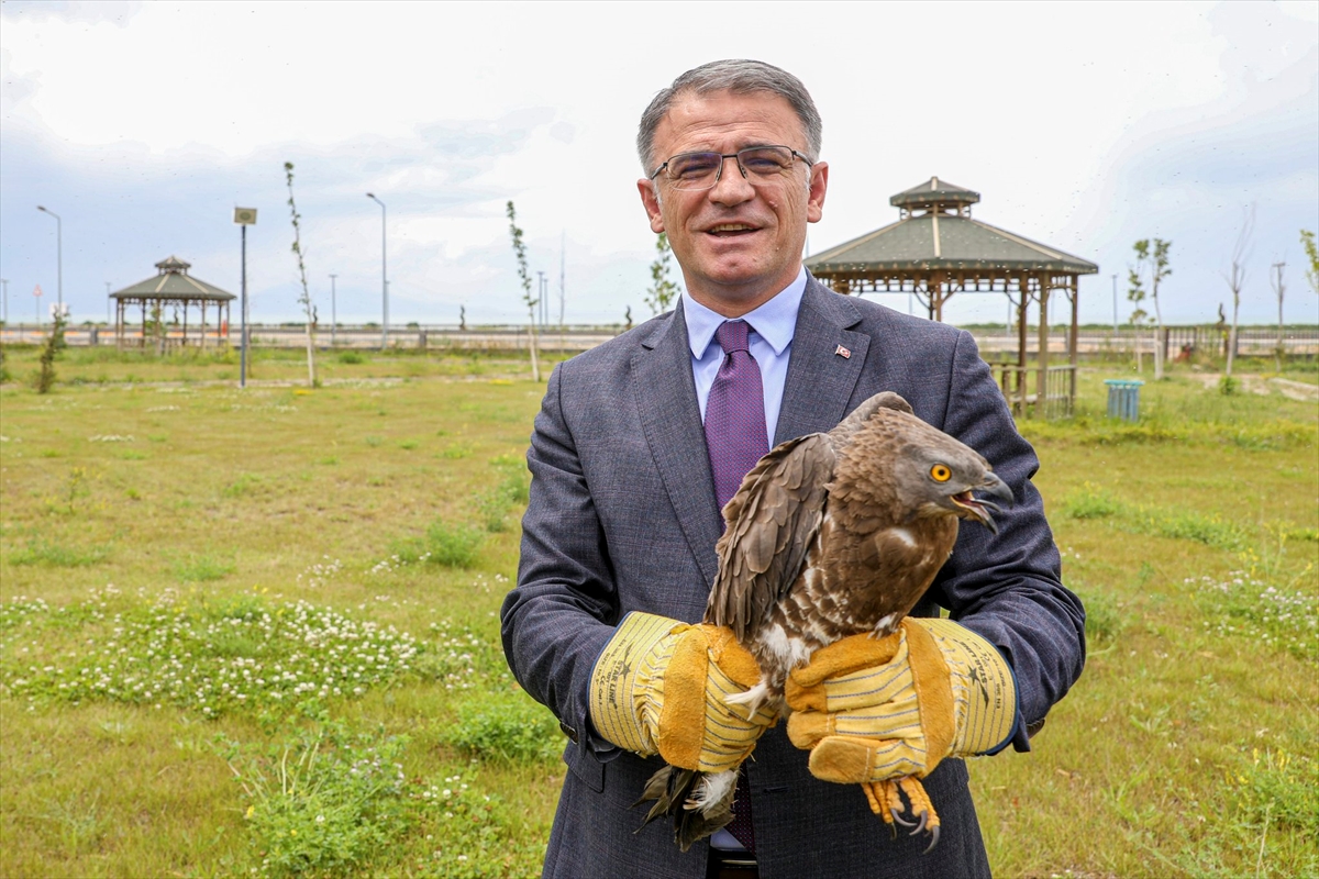 Van'da tedavileri tamamlanan yaban kuşları özgürlüklerine kavuştu