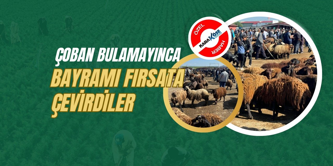 Çoban bulamayınca bayramı fırsata çevirdiler