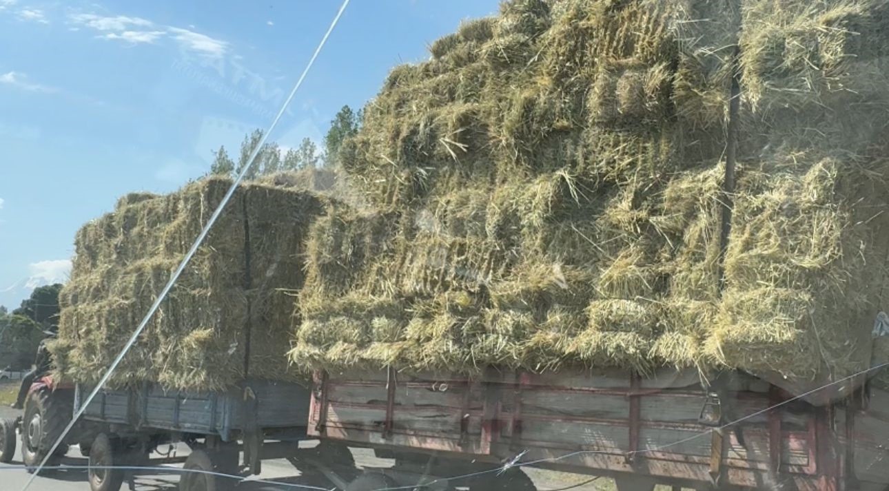 Iğdır'da ot yüklü traktör trafiği tehlikeye attı